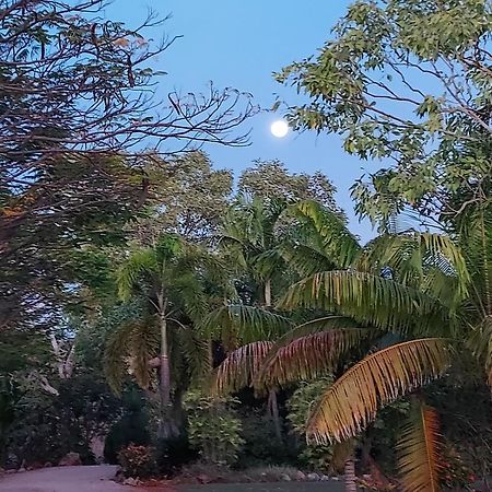 Almost Off Grid Tranquillity Katherine Exterior photo